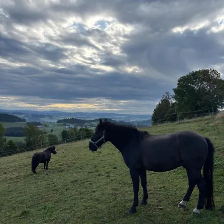 Διαμέρισμα Im Muehlviertler Panorama Vierseithof