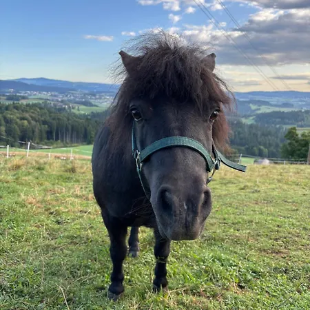 Im Muehlviertler Panorama Vierseithof
