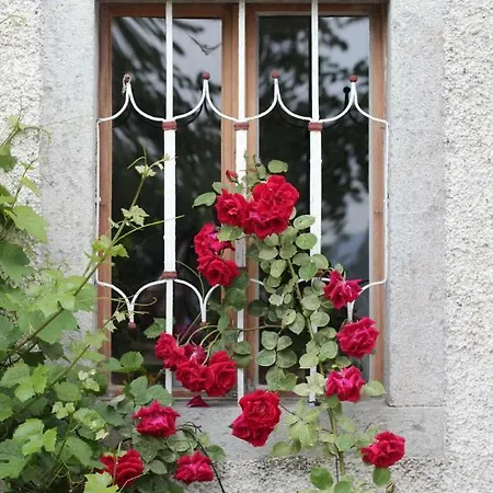 Im Mühlviertler Panorama Vierseithof