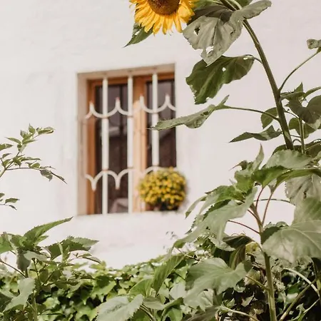 Im Muehlviertler Panorama Vierseithof Διαμέρισμα *