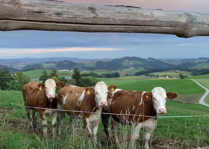 Im Muehlviertler Panorama Vierseithof Apartment