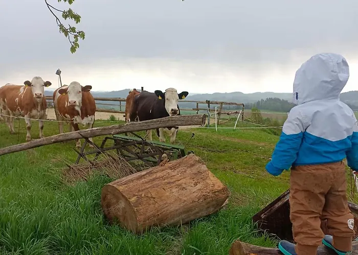 Im Muehlviertler Panorama Vierseithof Lembach im Muhlkreis