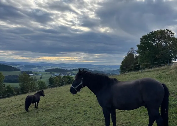 Apartment Im Muehlviertler Panorama Vierseithof