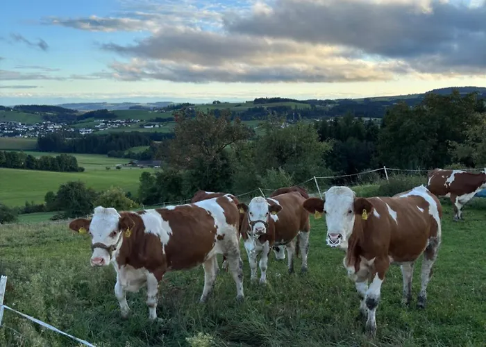Im Muehlviertler Panorama Vierseithof *