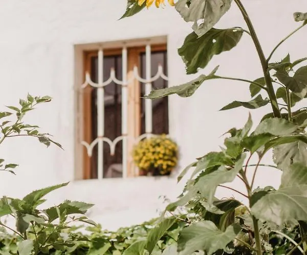 Im Muehlviertler Panorama Vierseithof דירה *