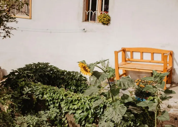 Apartment Im Muehlviertler Panorama Vierseithof