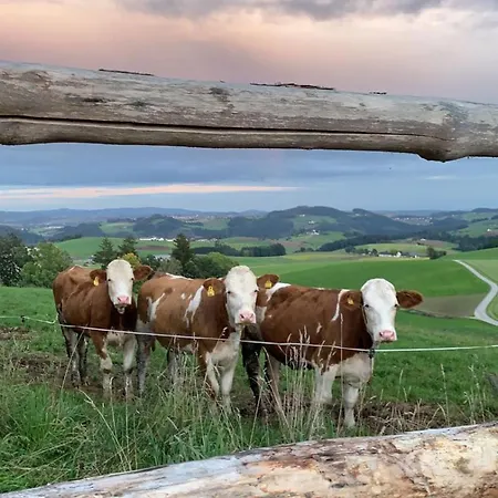 Im Muehlviertler Panorama Vierseithof Lejlighed