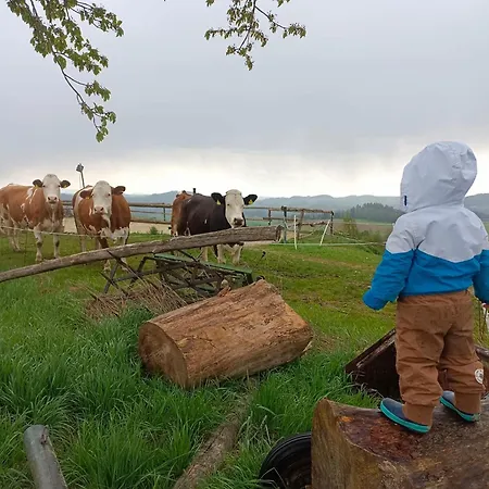 Im Muehlviertler Panorama Vierseithof Lembach im Mühlkreis