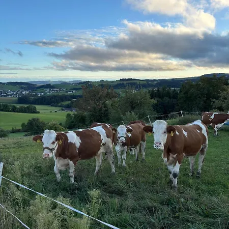 Im Muehlviertler Panorama Vierseithof *
