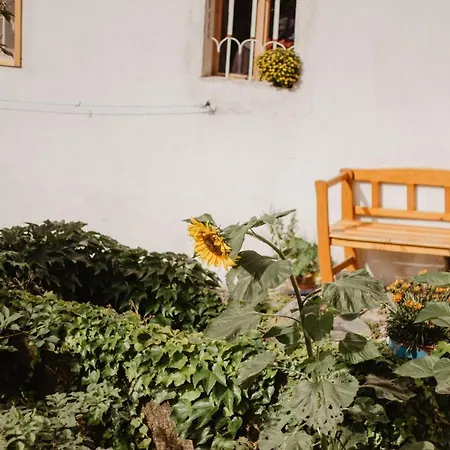 Apartamento Im Muehlviertler Panorama Vierseithof