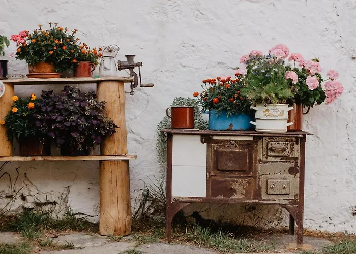 Im Muehlviertler Panorama Vierseithof شقة Lembach im Mühlkreis