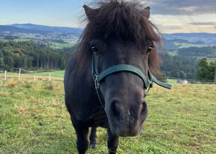 Im Muehlviertler Panorama Vierseithof