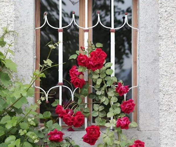 Im Muehlviertler Panorama Vierseithof