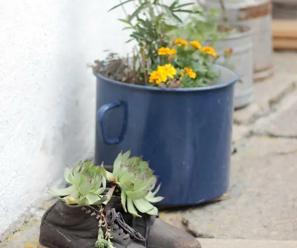 Apartment Im Muehlviertler Panorama Vierseithof
