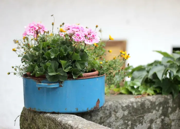 Im Muehlviertler Panorama Vierseithof Lembach im Mühlkreis